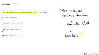 Extra embryonic membrane amnion provides [upl. by Yellah668]