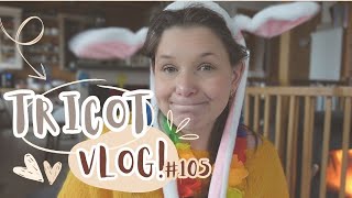 De la couleur du ridicule et des test knit  Vlog Tricot 105 [upl. by Ronnie]