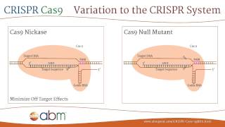 CRISPR Cas9  A Brief Introduction [upl. by Atilol]