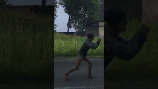 The 2 Types of DayZ Players [upl. by Nauqat]