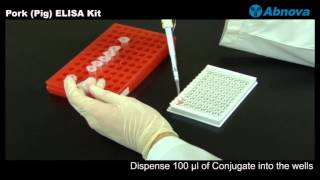 Pork Pig ELISA Kit [upl. by Ingamar496]