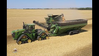 Wheat Harvest at Crossroad Farms in Indiana [upl. by Mavilia925]