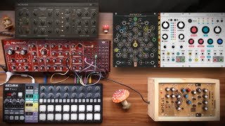 VCV Rack amp Neutron  Macro [upl. by Aiden]