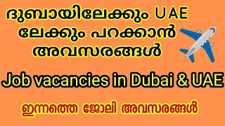 ഇന്നത്തെ ജോലി അവസരങ്ങൾ  Job vacancies in Dubai amp UAE  Job vacancies Malayalam  New job vacancies [upl. by Chill758]