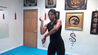 Modern Wing Chun Nunchaku Womens Training for Beginners [upl. by Johnston319]