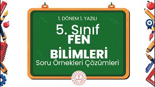 5 Sınıf Fen Bilimleri 1 Dönem 1 Yazılı Soru Örnekleri Çözümleri [upl. by Nivra]