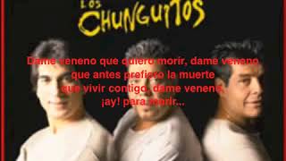 Karaoke Los Chunguitos Dame veneno [upl. by Annice]