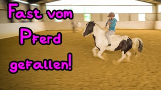 Fast vom Pferd gefallen 🙈🦄 in der Freiarbeit [upl. by Yrnehnhoj]