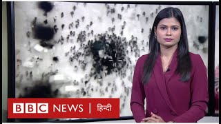 Israel Hamas War कौन है Gaza में खाना लेने गए 100 से ज़्यादा लोगों की मौत का ज़िम्मेदारBBC Hindi [upl. by Nivrad743]