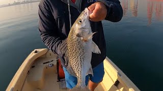 The BEST WAY to catch GRUNTERS Durban Harbour Fishing [upl. by Nallac]