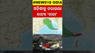 ସମୁଦ୍ରରେ ବଳ ଗୋଟାଉଛି ଦାନା  IMD Confirmed Possible path for Cyclone Dana In Odisha  Odisha Rain [upl. by Eihtak974]