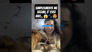 FILHOTINHO SEGUE JOVEM QUE RESOLVE ADOTAR cachorro adote resgate rescue dog pets amor ong [upl. by Mcgruter]