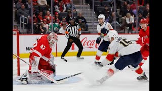 Reviewing Red Wings vs Panthers Matinee Game [upl. by Primavera]