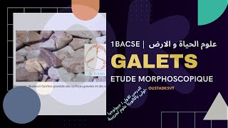 1BAC SE  Létude morphoscopique des galets  SVT géologie ChapI [upl. by Jehanna672]