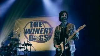 The Winery Dogs Unleashed in Japan Full DVD 2014 [upl. by Epillihp540]