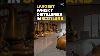 Which is the BIGGEST WHISKY distillery in SCOTLAND [upl. by Garin]