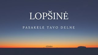 DŽIMBA  Lopšinė pasakėlė tavo delne [upl. by Pam]