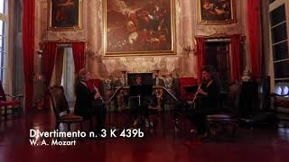 W A Mozart Divertimento 3 K 439b  Mademi Quartet [upl. by Eca]