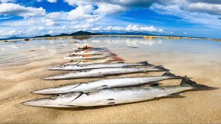 Fishing Sa Malawak Na Hibasan❗Light Tackle  Shore Casting [upl. by Nueormahc29]