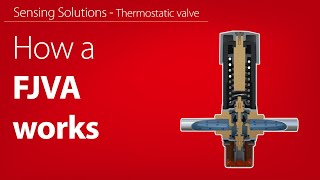 How an FJVA thermostatic water valve works  Working animation [upl. by Ehman613]