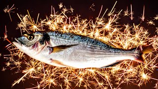 Experiment 1000 Sparklers vs Fish [upl. by Ilrahc326]