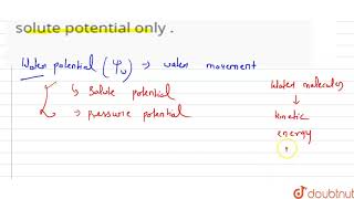 Water potential of a cell is affected by solute potential only [upl. by Kirsten]