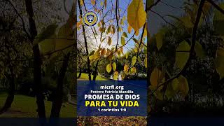 Fiel es Dios que nos llamó  1 Corintios 19  Pastora Patricia Mantilla [upl. by Aisila]