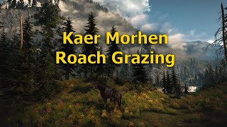 Kaer Morhen 4K Roach Grazing at Cloudy Mountains  Calm Music amp Sunset  The Witcher 3 [upl. by Eisteb95]