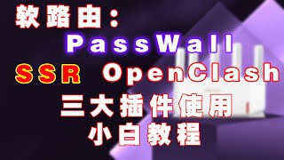 软路由上PassWall、SSR、OpenClash三大插件小白使用教程，魔法上网！ [upl. by Benni]