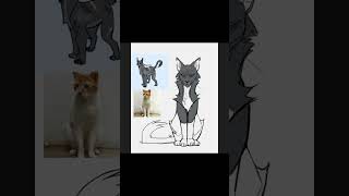 warriorcats speedpaint speedpaintart [upl. by Savitt]