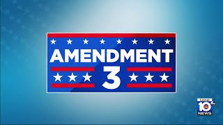 Vote 2024 Amendment 3 explained [upl. by Areis]