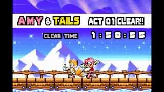 Sonic Advance 3  Part 5 Twinkle Snow Zone [upl. by Wadleigh826]