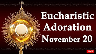 Powerful Eucharistic Adoration I Wednesday November 20 2024 I 300 Pm [upl. by Netloc714]