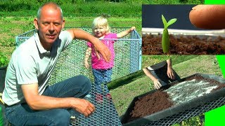 Hochbeet aufbauen und befüllen im Garten [upl. by Rainer]