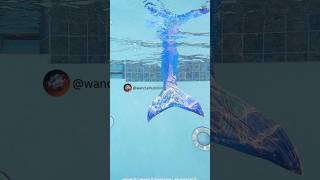 Wait Is That A Real Mermaid In Our Pool shorts mermaid beautiful mermaidvideos [upl. by Analaj]