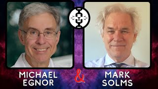 Mark Solms amp Michael Egnor Disucuss Materialism and Neuroscience [upl. by Polivy]