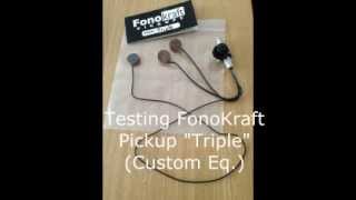 Test Fonokraft quotTriplequot Double Bass Pickup  Equalized [upl. by Tynan]