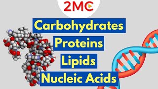 Macromolecules Explained  2MC GIGAVID [upl. by Evelunn]