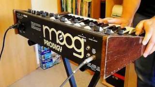 Moog Prodigy Analog Synthesizer 1979 sound demo [upl. by Kciregor]