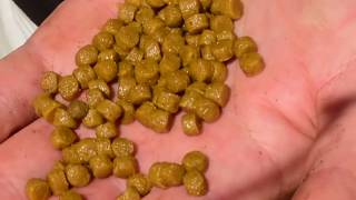 Nick Speed How To Prepare Expander Fishing Pellets [upl. by Moreno]