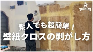 【超簡単DIY】壁紙クロスのはがし方。壁面塗装や張り替えの前には壁紙をめくって下地処理。自分で改装リフォームする方は必見です！ [upl. by Theall323]