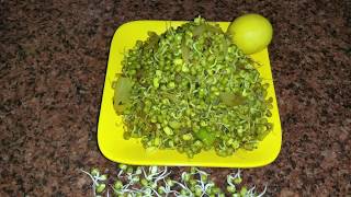 अंकुरित मूंग फ्राई  Sprouted Moong Fry Recipe  Sprouted Moong Sabzi [upl. by Arnaud420]