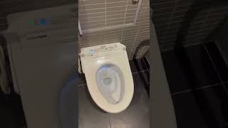 Tech in Japanese Restroom japan caliyatri [upl. by Reggie137]