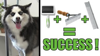 How To Deshed amp Brush Your DOG  Pro Grooming Tutorial [upl. by Caresse]