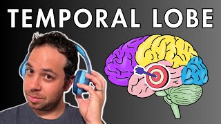 The Temporal Lobe  Location and Function [upl. by Syverson]