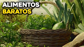 Las 6 verduras baratas para cosechas abundantes en casa [upl. by Ggerk]