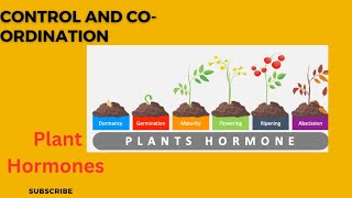 Phytohormonescontrol and coordination cbseclass10 [upl. by Adnerol]