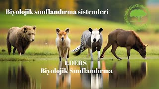 quotYENİ MÜFREDATquot 9Sınıf  Biyolojik sınıflandırma sistemleri [upl. by Eneroc]