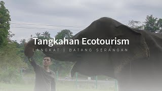 TANGKAHAN ECOTOURISM  LANGKAT tangkahan [upl. by Nodnarg155]