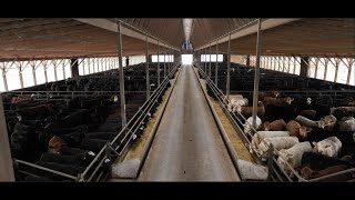 2024 Western Canada Feedlot Management School Promo [upl. by Nickolas721]